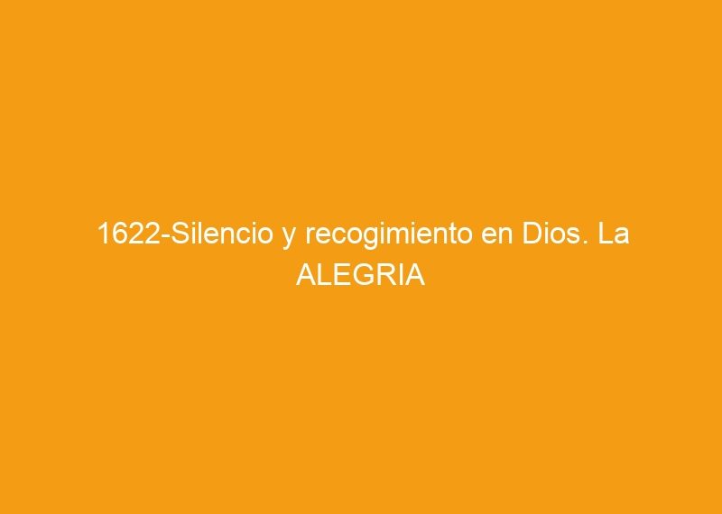 Silencio Y Recogimiento En Dios La Alegria De Esta Navidad