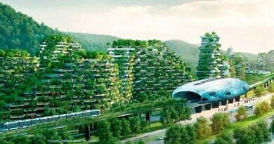 Bosques Urbanos, Ciudades Verdes: conéctate con el regalo de la naturaleza